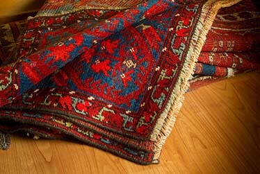 Oriental Area Rug